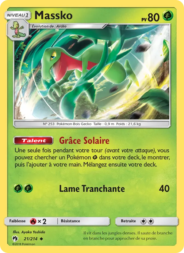 Carte Pokémon Massko 21