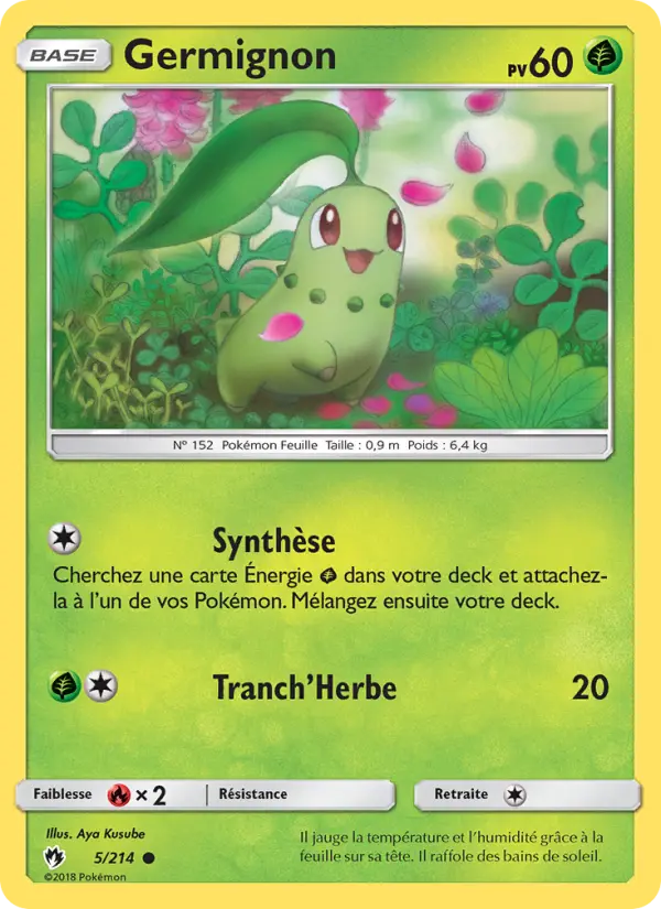 Carte Pokémon Germignon 5