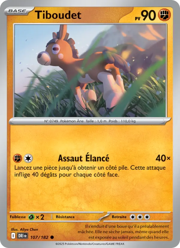 Carte Pokémon Tiboudet 107