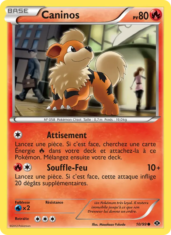 Carte Pokémon Caninos 10