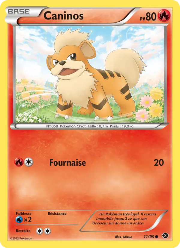 Carte Pokémon Caninos 11