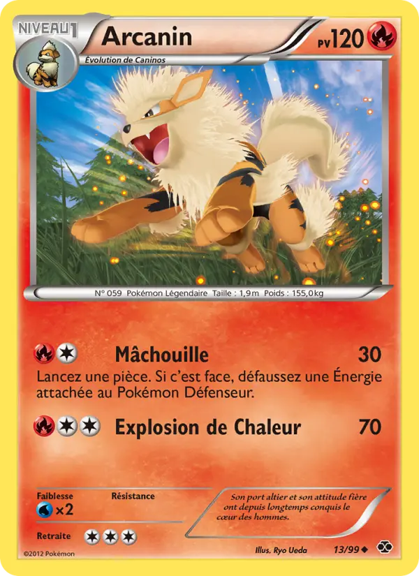 Carte Pokémon Arcanin 13