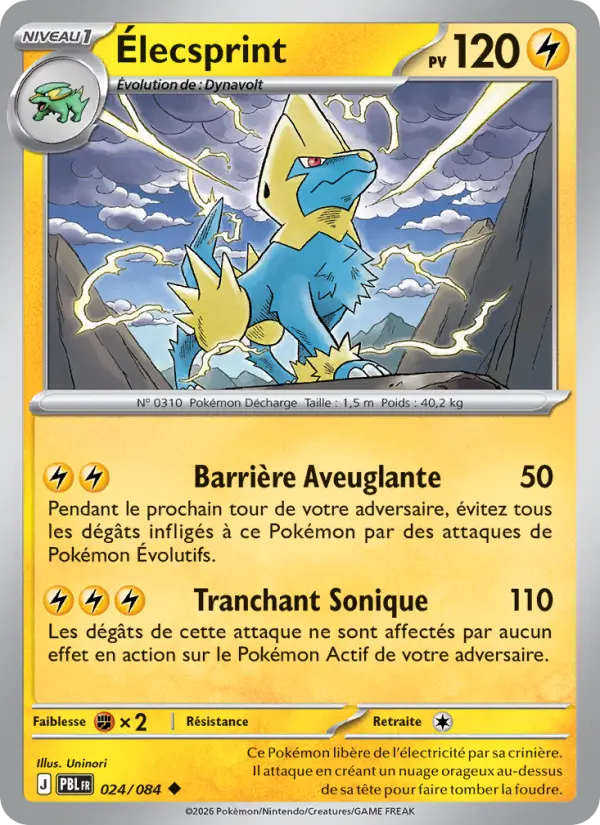 Carte Pokémon Élecsprint 024