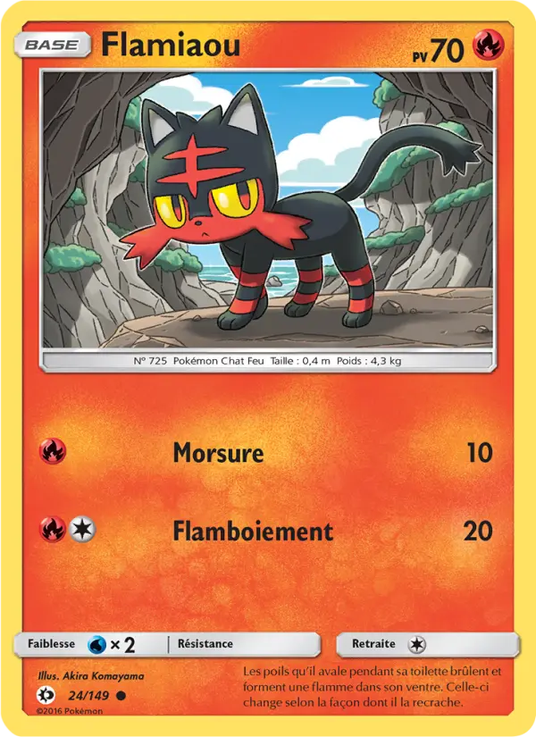 Carte Pokémon Flamiaou 24