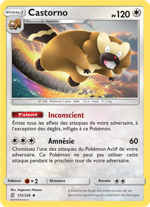 Carte Pokémon Castorno 172
