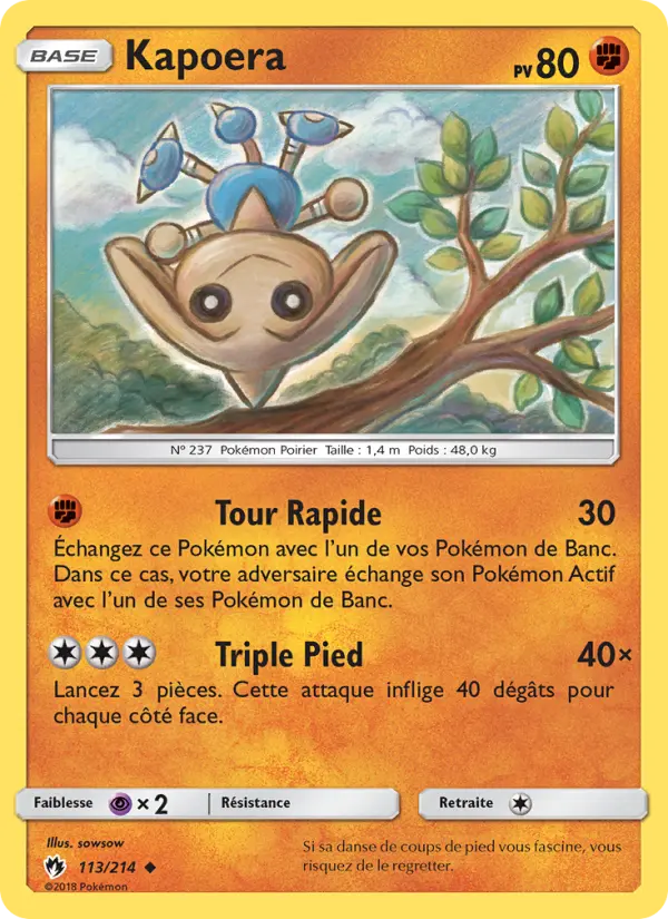 Carte Pokémon Kapoera 113