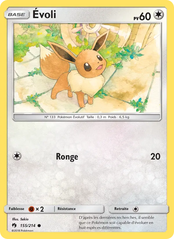 Carte Pokémon Évoli 155