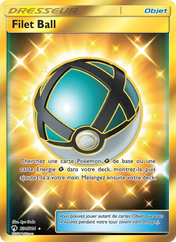 Carte Pokémon Filet Ball 234