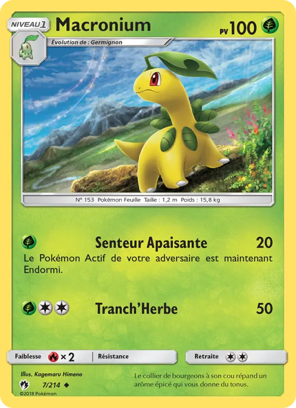 Carte Pokémon Macronium 7