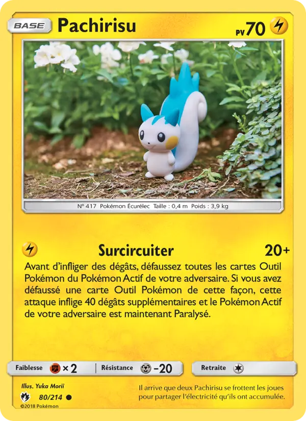Carte Pokémon Pachirisu 80