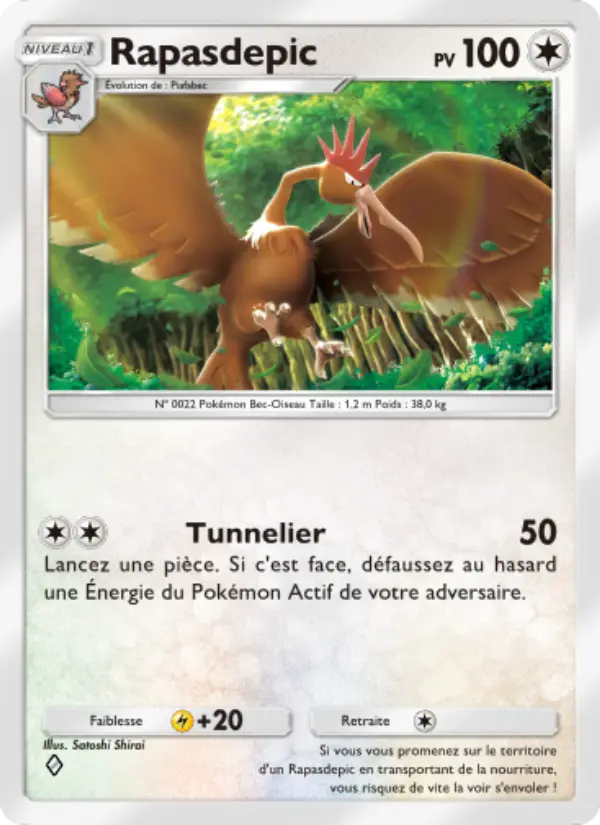 Carte Pokémon Rapasdepic 192