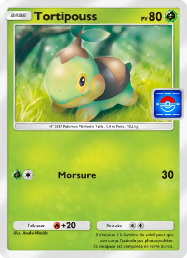 Carte Pokémon Tortipouss 035