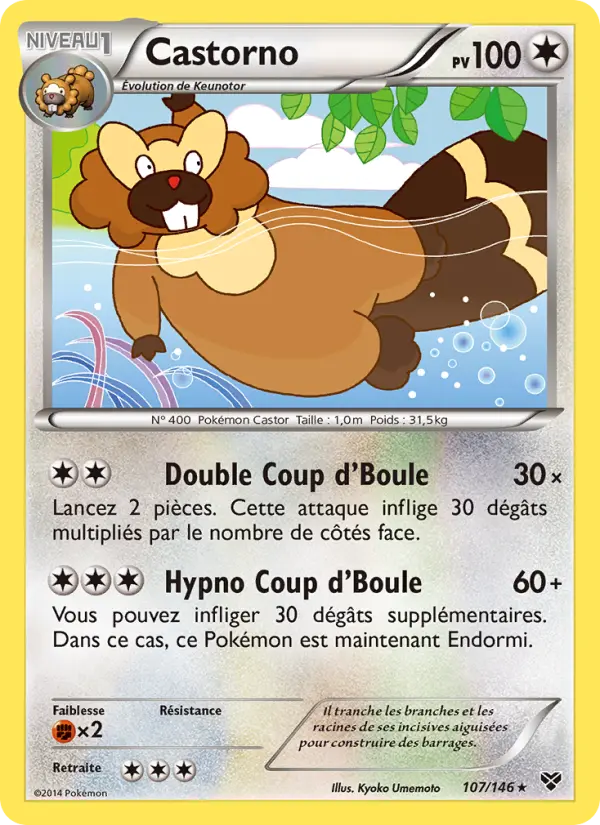 Carte Pokémon Castorno 107