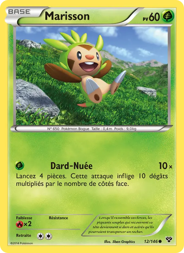 Carte Pokémon Marisson 12