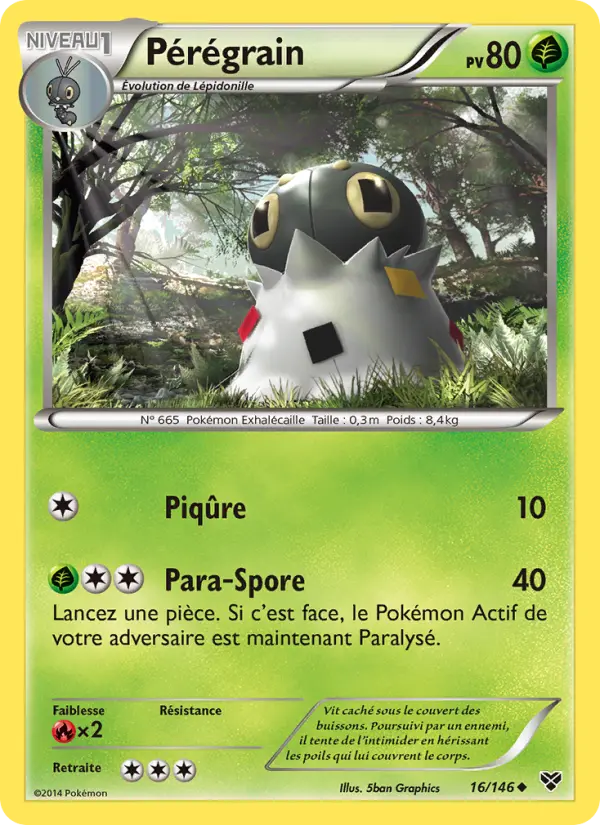 Carte Pokémon Pérégrain 16