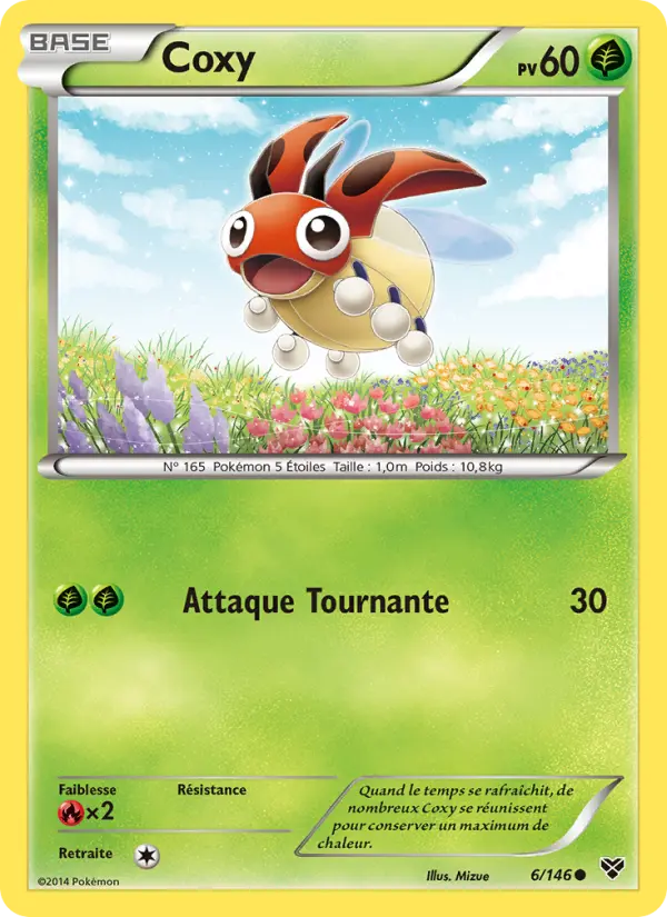 Carte Pokémon Coxy 6