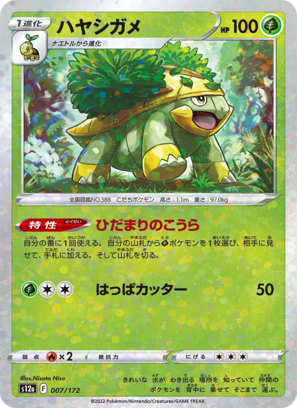 Carte Pokémon ハヤシガメ 007