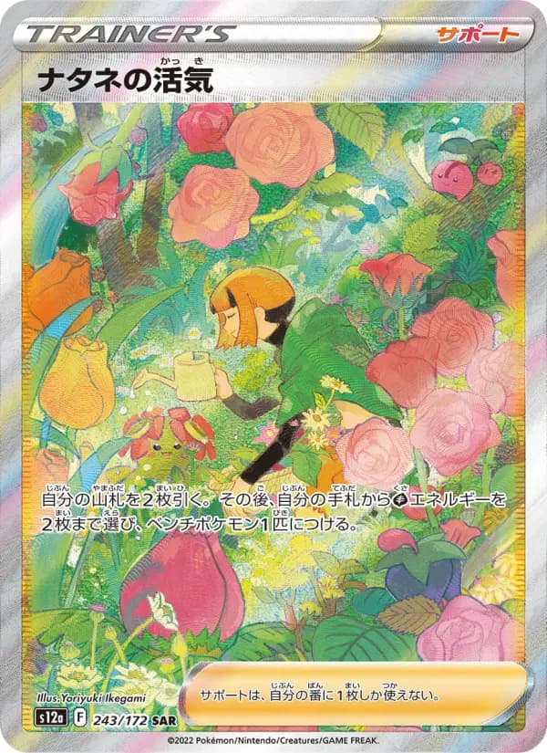 Carte Pokémon ナタネの活気 243