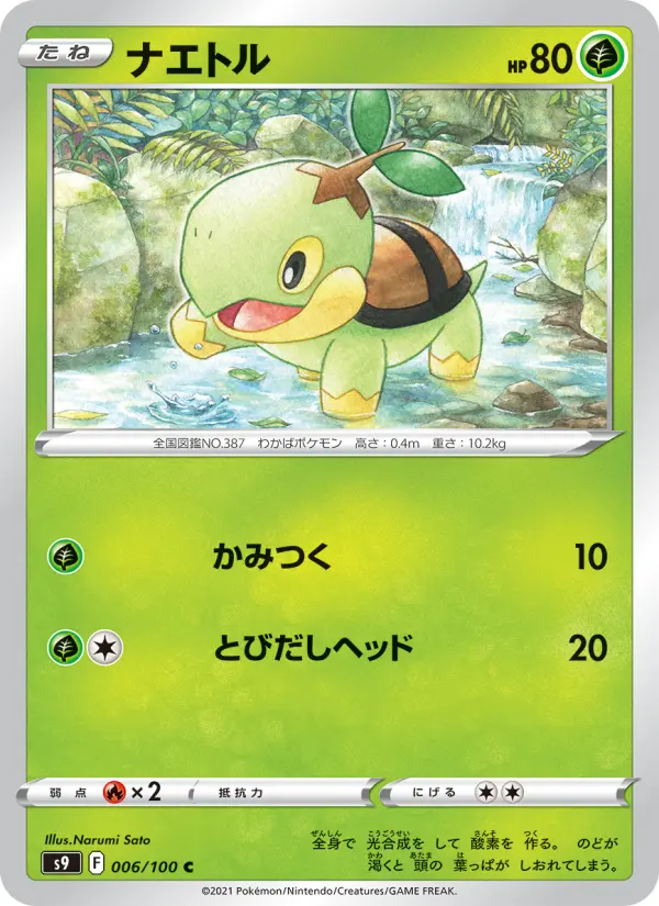 Carte Pokémon ナエトル 006