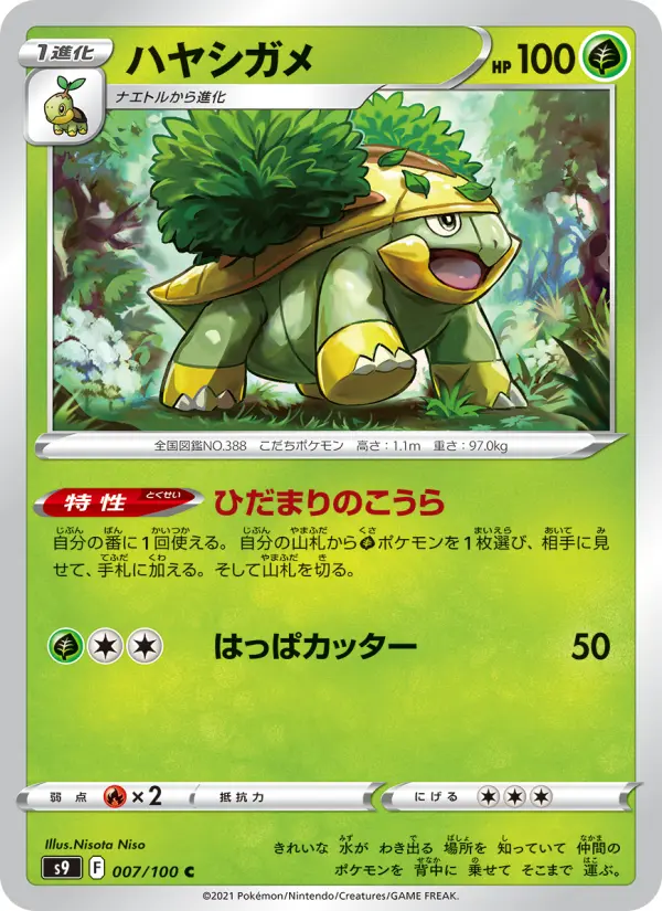 Carte Pokémon ハヤシガメ 007