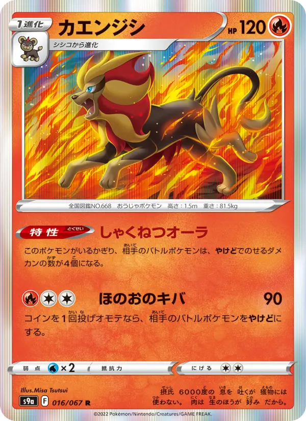 Carte Pokémon カエンジシ 016