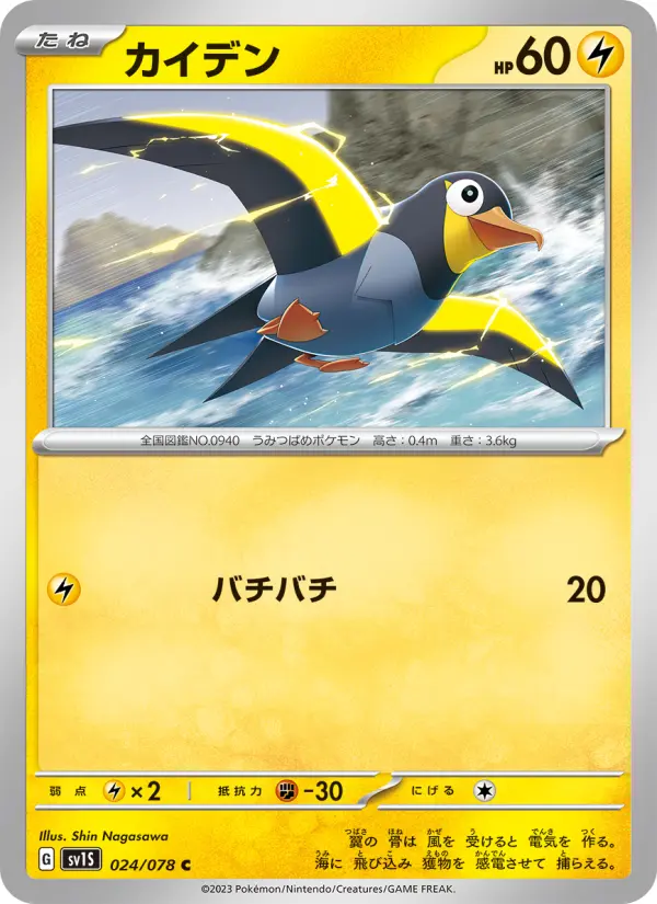 Carte Pokémon カイデン 024
