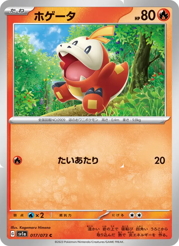 Carte Pokémon ホゲータ 017