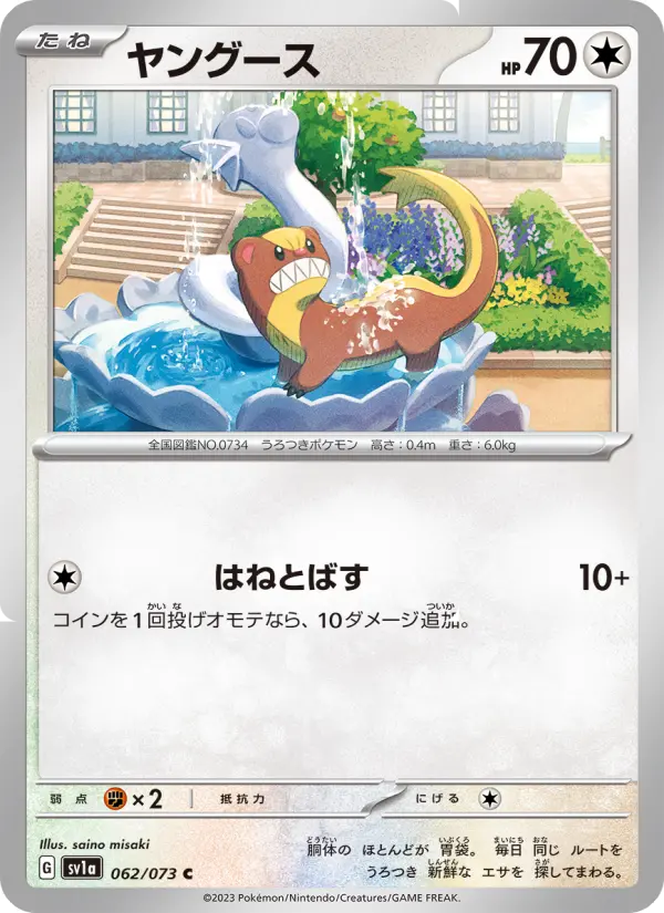 Carte Pokémon ヤングース 062