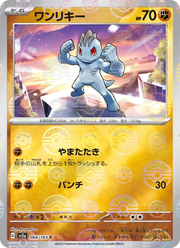 Carte Pokémon ワンリキー 066