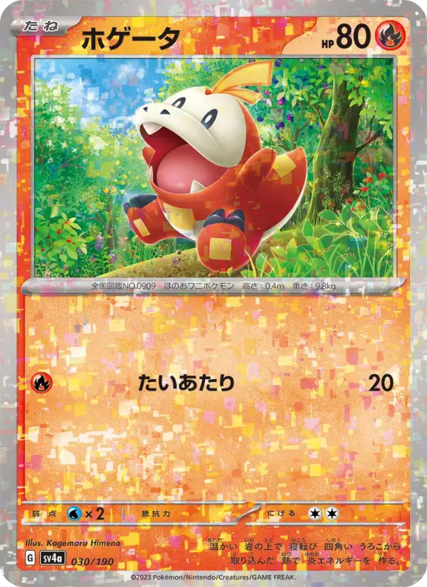 Carte Pokémon ホゲータ 030