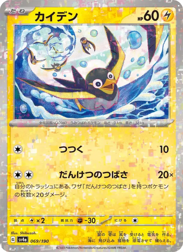 Carte Pokémon カイデン 069