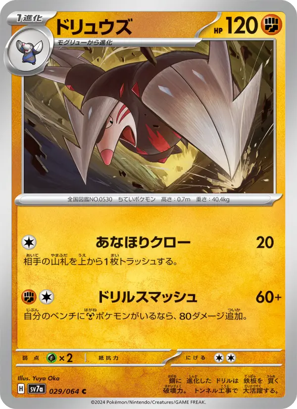 Carte Pokémon ドリュウズ 029