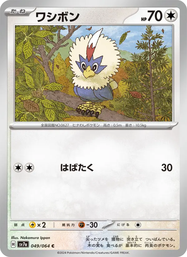 Carte Pokémon ワシボン 049