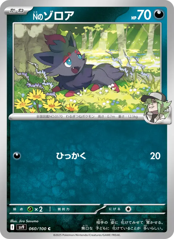 Carte Pokémon Nのゾロア 060