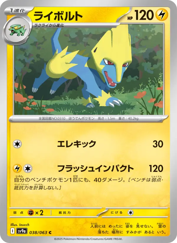 Carte Pokémon ライボルト 038
